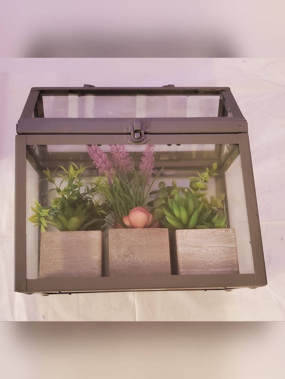Glass Terrarium Planter Box w/ Faux Succulents